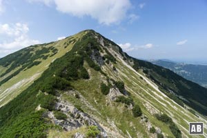 Die Notkarspitze - gesehen vom Verbindungsgrat zum Ziegelspitz