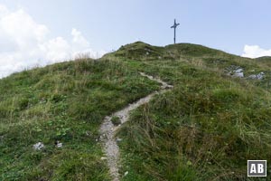 Zuletzt über Gras empor zum Gipfelkreuz der Notkarspitze