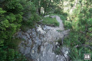 Der finale Hang hinunter ins Tal ist 500 Meter hoch und bis zu 45 Grad steil. Ein Fehltritt darf sich auf dem angelegten Steig niemand erlauben, sonst...