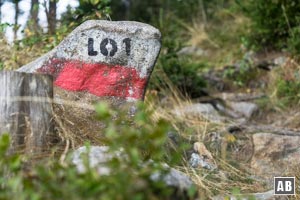 Der bezeichnete Wanderweg LO1 bringt uns zum Gipfel des Großen Osser