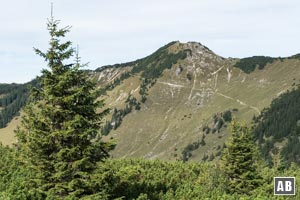 Blick auf den benachbarten Iseler