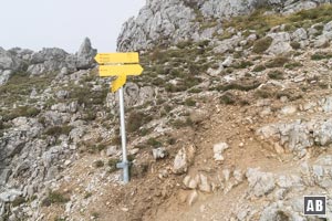 Dabei wird zweimal eine rechtsseitige Abzweigung in Richtung Zirleseck/Rohnenspitze ignoriert