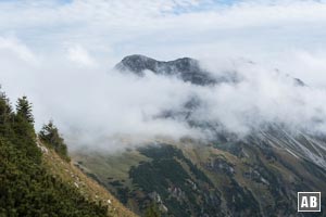 Nahimpression zum Gaishorn