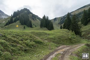 Auf Höhe des Stuibenbachs bekommen wir Einblick in die Route der Fußgänger, die sich durch das Stuibental hoch zum Sattel an der Oberen Stuibenalpe schlängelt