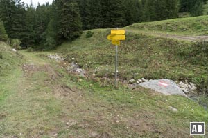 Am Stuibenbach verzweigt sich der Weg. Wir halten uns an den Wasserlauf talwärts.