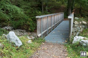 Innerhalb einer folgenden kleinen Baumparzelle folgt dieser Brücke ein Wassertretbecken - und wenig dahinter der Parkplatz an der Wannenjochbahn