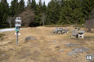 Für die Käsplatte tauchen wir gen Nordwesten wieder in den Forst ab...