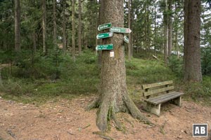 Die Beschilderung eines Wegknotens schickt uns links über Wurzeln und Steine...