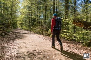 Vom Parkplatz Gfäll führt zunächst ein flacher, breiter Waldweg nach Südosten