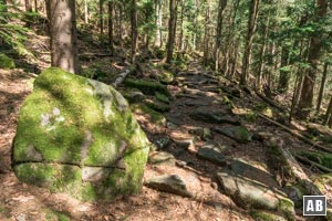 Der anfangs breite und gut ausgebaute Weg schnürt sich zwischendurch zu einem steinige Waldpfad zusammen