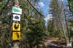 Der Rundweg von Gfäll über den Rachelsee ist mit dem Auerhahn-Symbol gekennzeichnet