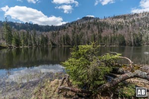 Am Rachelsee mit dem Großen Rachel im Hintergrund