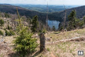 Nochmal ein Blick zurück zum Rachelsee