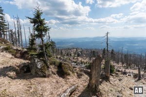 Abstieg auf der anderen Seite des Gipfels - in Bildmitte ist bereits das Waldschmidthaus zu erkennen