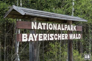 Der Große Rachel liegt im Zentrum des Nationalparks Bayerischer Wald