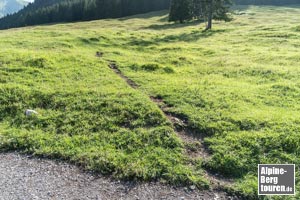 20 m vor einer Sitzbank findet sich der unscheinbare, unmarkierte Einlass in die Schattenbergroute