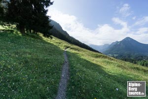 An einer kleinen Baumparzelle dreht der Pfad scharf nach rechts ab...