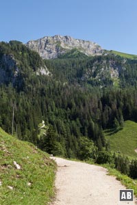 Im Bergab zum Königsbach macht im Hintergrund der Fagstein eine gute Figur