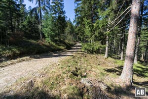 Der breite, planierte Wanderweg führt leicht bergan und vollzieht eine Rechtskurve.