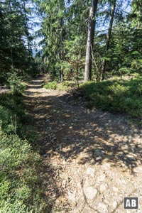 Im Verlauf verengt sich der Weg zu einem schmaleren, mit zahlreichen Steinen belegten Steig.