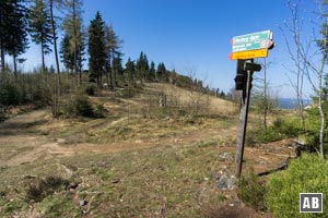 Nach einer Linkskurve erreichen wir ein Wegkreuz am Rande einer Lichtung. Gegenüber befindet sich die Bergstation des Sessellifts.