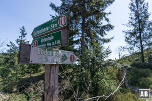 Zum Besucherbergwerk biegen wir kurz nach der Infotafel nach rechts in dem schmalen Steig mit der Weg Nr. 1 <q>steiler Weg</q> ein.