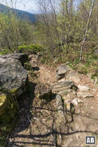 Steil wandern wir die Südflanke des Silberbergs abwärts.