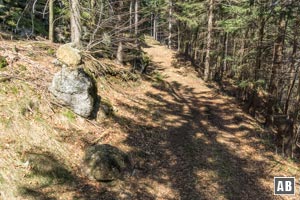 Der unmarkierte Steig ist deutlich erkennbar und führt unterhalb des Brandtner Riegels in östliche Richtung.