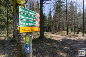 Wir folgen dem Wegweiser mit der roten 10 in Richtung Silberberggipfel.