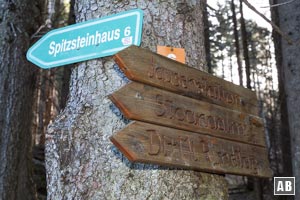 Am Ende einer Waldpassage steigen wir zwischen Waldrand und Almmatten weiter bergwärts.