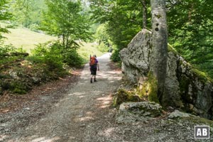 ...und schwenken in die großzügige Wanderpromenade in Richtung Stripsenjochhaus ein