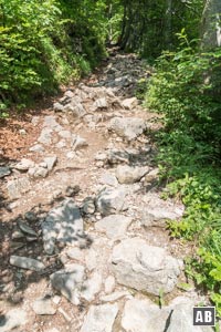 Zwischendruch transformiert sich der bequeme Wanderweg zum steinigen Bergsteig