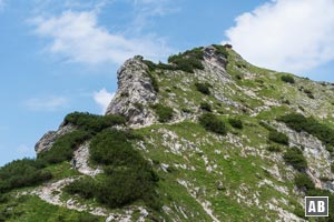 Das Finale hoch zum Stripsenkopf-Gipfel umgeht zunächst denselben über seine Südflanke...