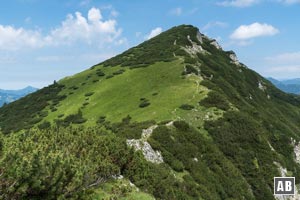 Hinter dem Tristecken treffen wir vor dem Gipfelsturm auf eine markante Lichtung