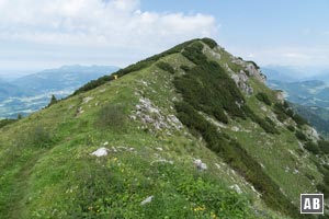 Nach einer Krummholzpassage noch etwas Gehgelände, dann...