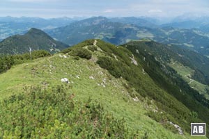 Für den Abstieg überschreiten wir den Feldberg über seinen Ostgrat