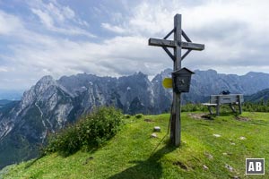 Am Gipfel des Feldberg