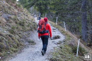 Den breiten Forstweg verlassen wir bald nach links auf einem schmalen Bergsteig