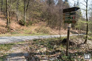 Sobald wir den querenden Schotterweg erreichen, sollten wir uns ein wenig orientieren