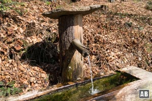 Gegenüber der hölzerne Krakelbrunnen, der gleichzeitig die Fortsetzung unseres Aufstiegs markiert