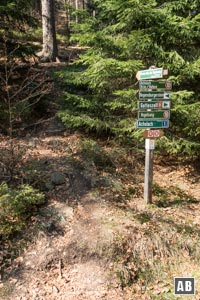 Nach wenigen Minuten entspringt linksseitig der finale Aufstieg zum Klosterstein