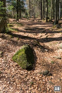 Mit leicht sportlichem Touch geht es steil im Wald bergan