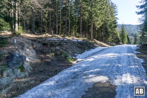 Im weiteren Verlauf über einen nach links ansetzenden Steig in den Wald hinein.