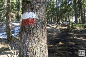 Navigiert von den weiß-roten Markierungen wandern wir bergwärts.