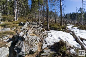 Wanderung Zwercheck Osser: Am Rande einer Lichtung wird das Gelände steiler und felsiger.