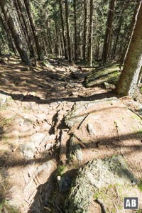 Steil über zahlreiches Geröll den Wald hinunter.