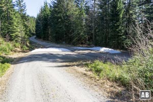 Der Forstweg endet an einem querenden Wirtschaftsweg. Hier linkshaltend abbiegen.