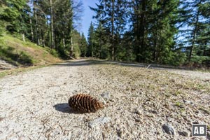 Ziemlich eintönig führt uns nun der Weg in 6 km zurück zum Ausgangspunkt. Dabei müssen wir noch zwei Gegenanstiege bewältigen.