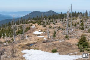 Wanderung Zwercheck Osser: Vom Naturkino wandern wir auf einem markierten Pfad dem Osser-Massiv entgegen.