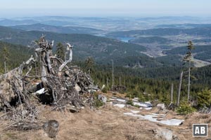 Aussicht vom Künischen Grenzkamm nach Tschechien.